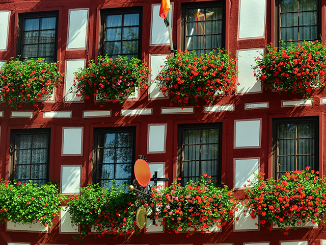 窓辺に飾りたい花no 1 鮮やかなゼラニウムでヨーロッパ風に ガーデンdiy図鑑