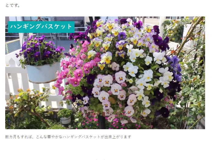 ねとらぼ掲載